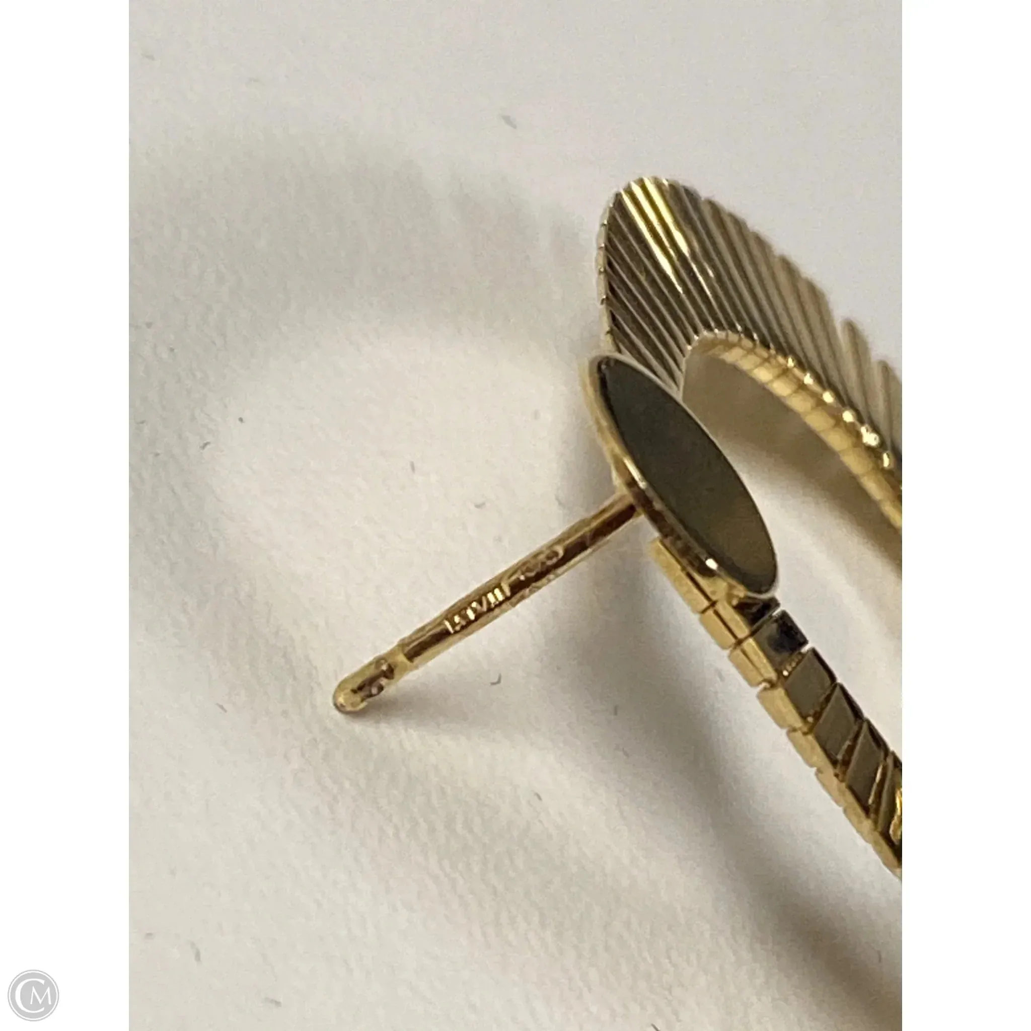 Earrings Dangle/drop By Clothes Mentor