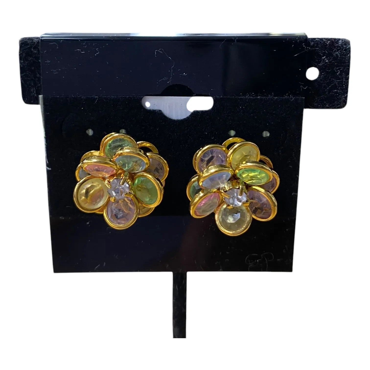 Earrings Stud  In Multi