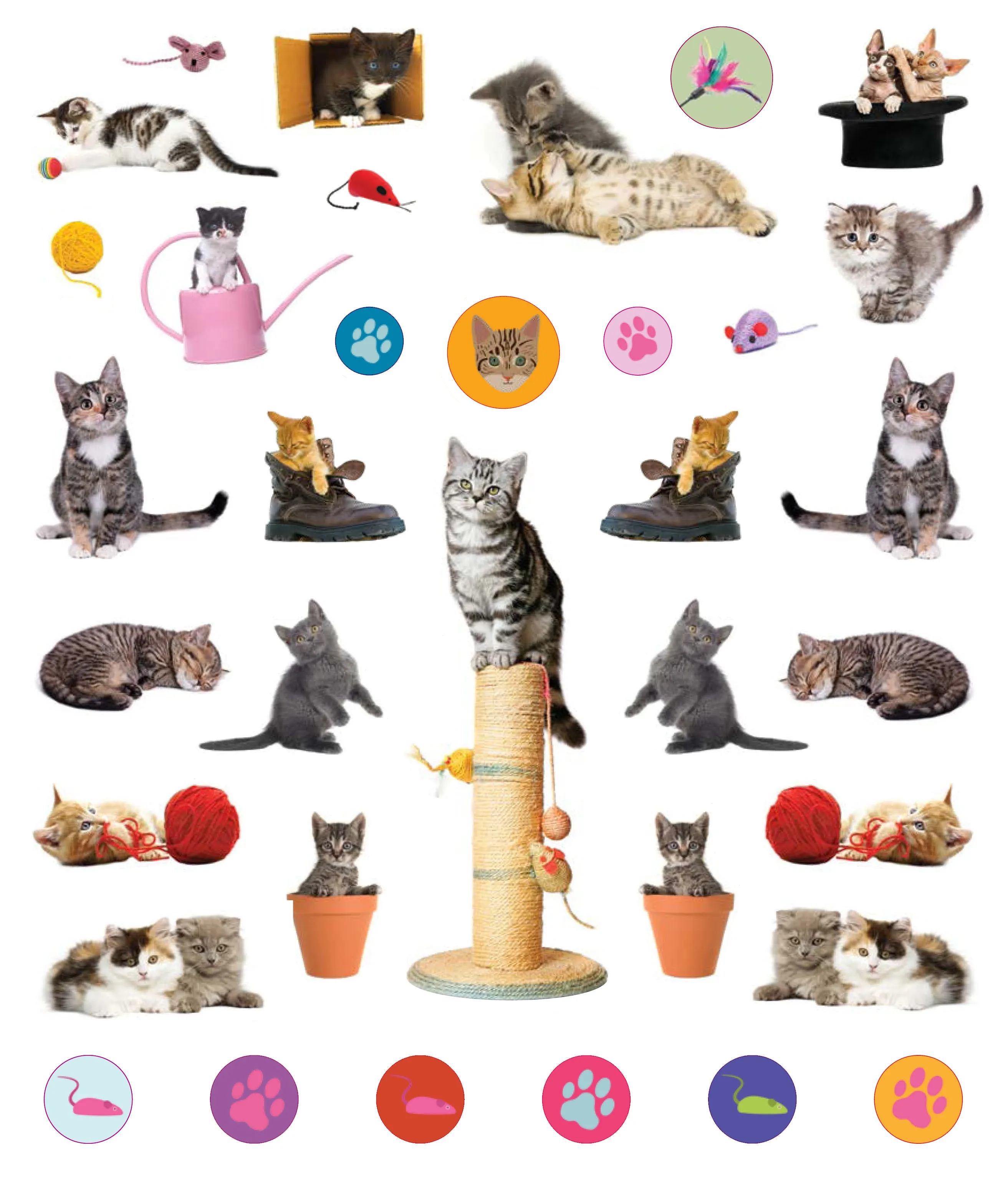 Eye Like Sticker Book - Kittens