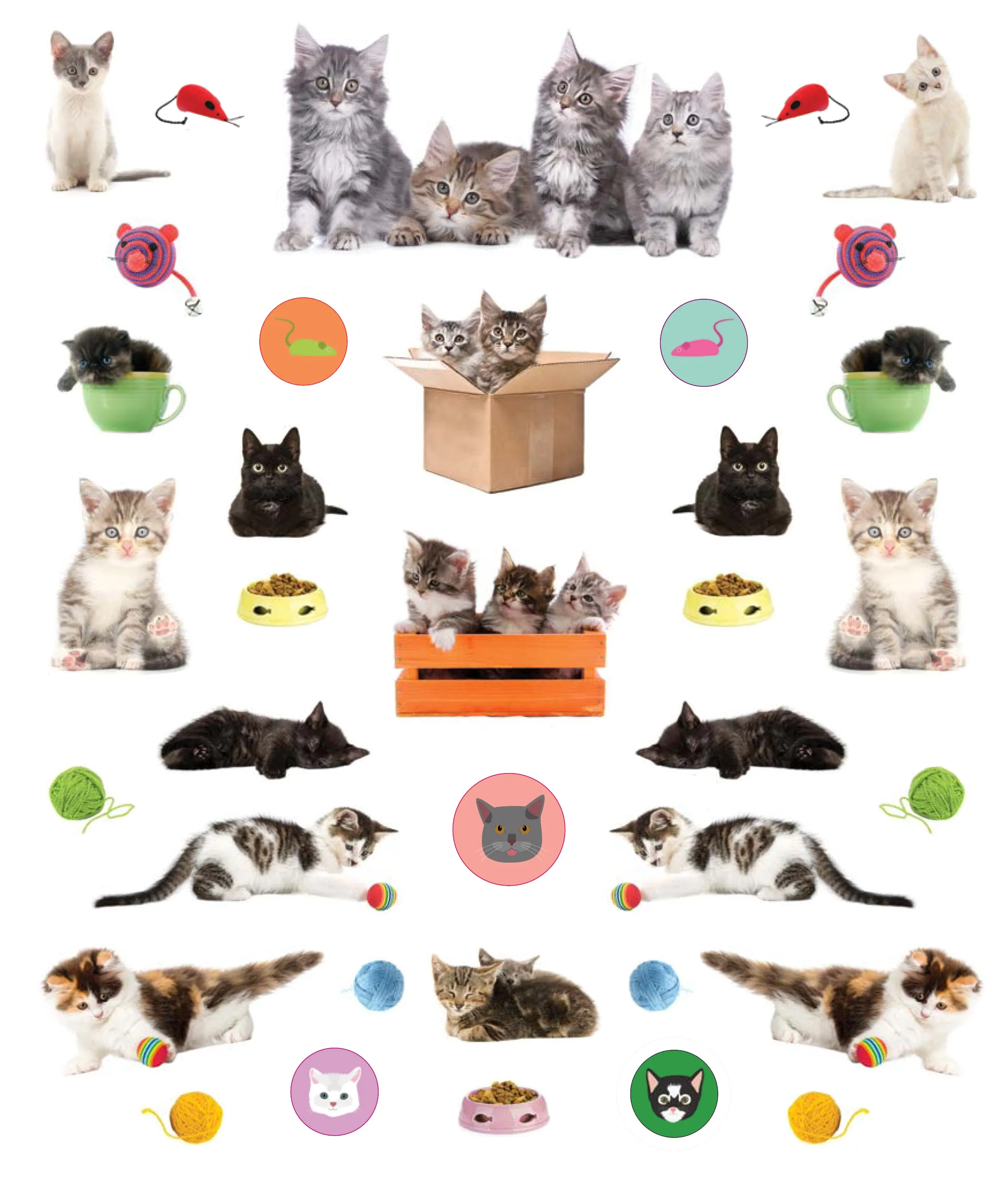 Eye Like Sticker Book - Kittens