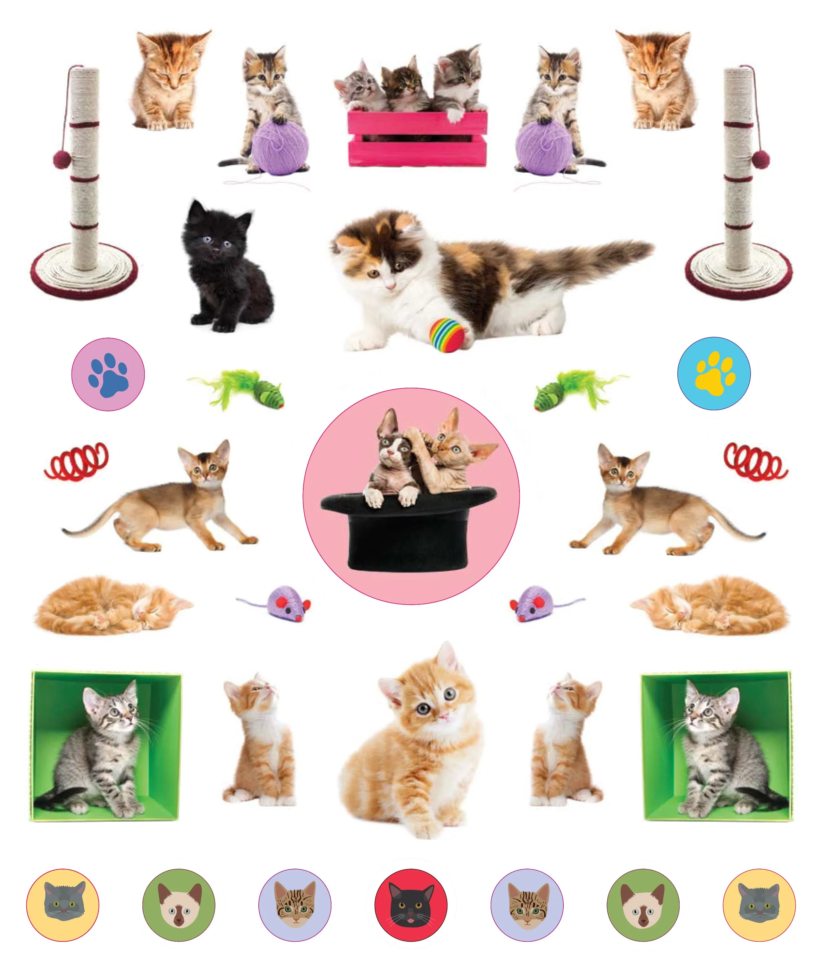 Eye Like Sticker Book - Kittens