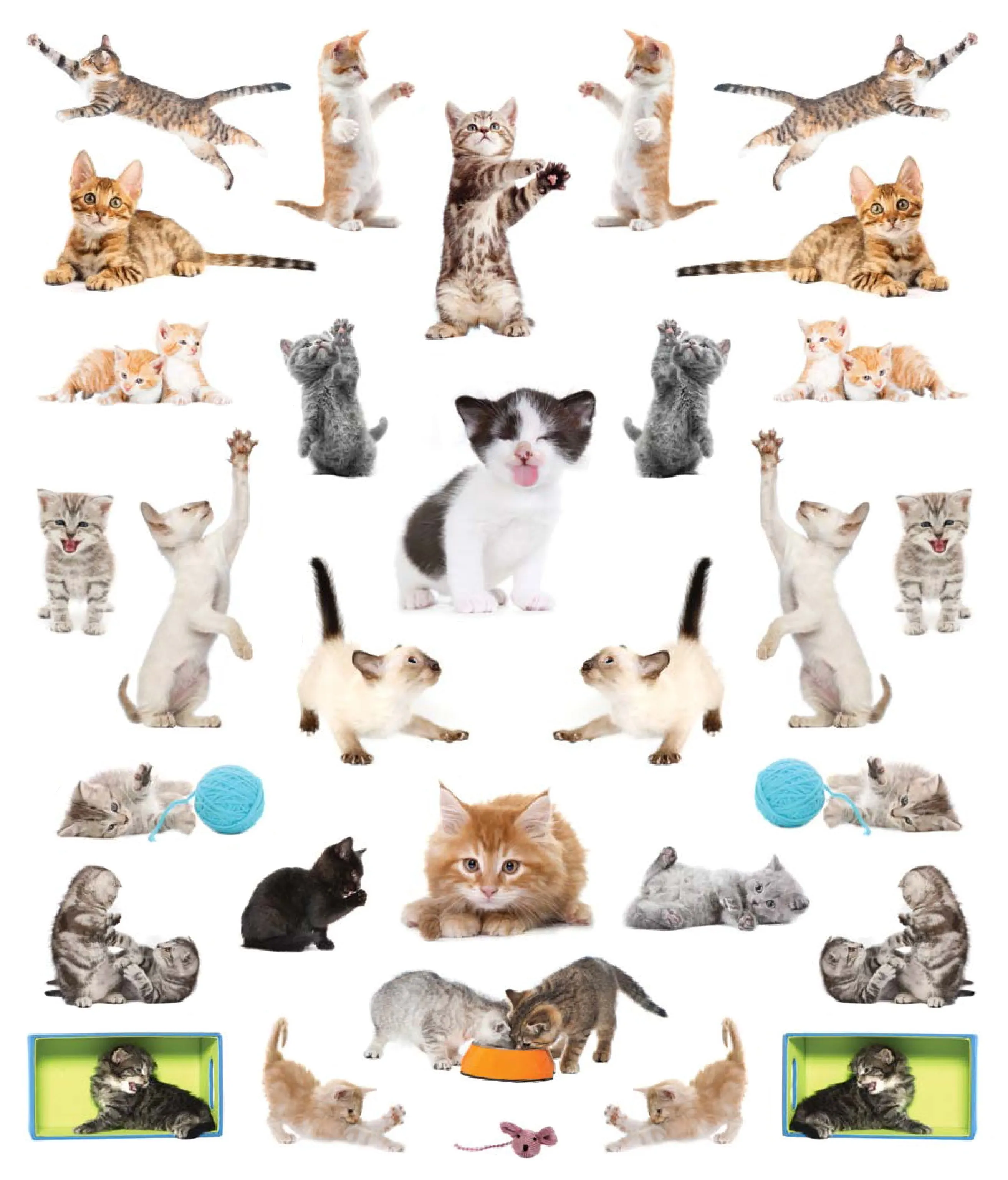 Eye Like Sticker Book - Kittens