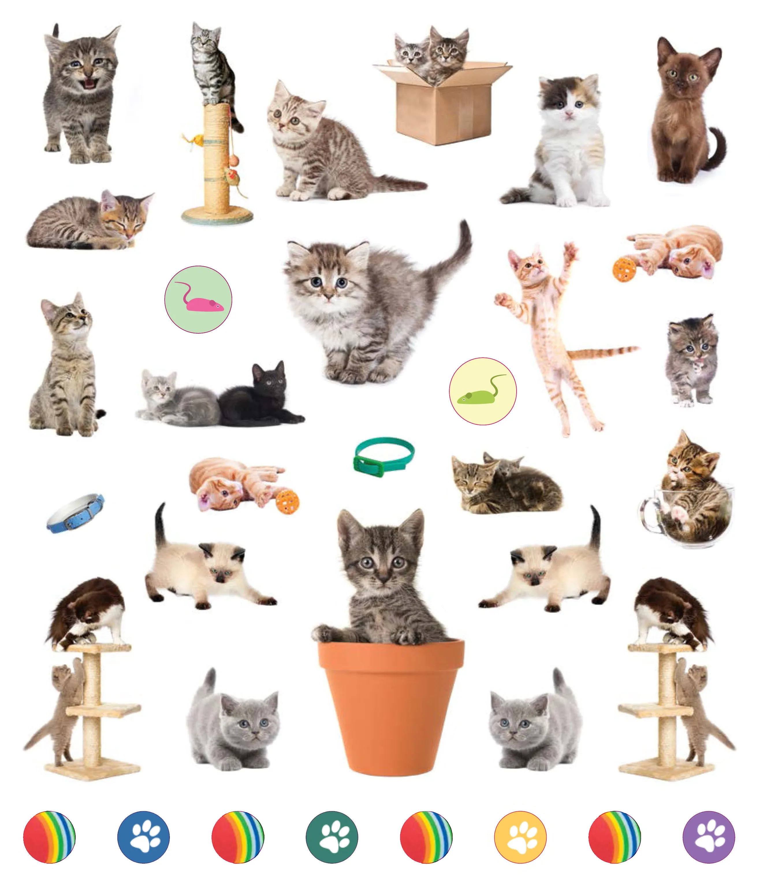 Eye Like Sticker Book - Kittens